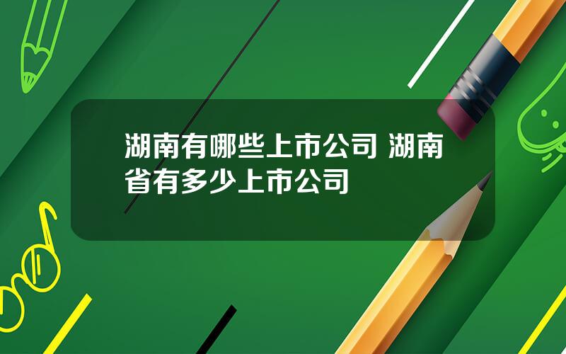 湖南有哪些上市公司 湖南省有多少上市公司